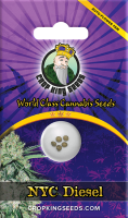 NYC Diesel Autoflowering Feminized Cannabis Seeds