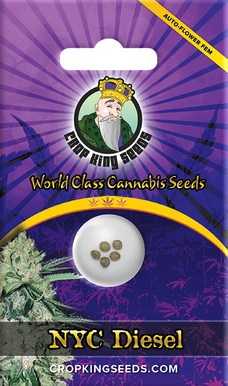 NYC Diesel Autoflower Seeds