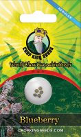 Blue Berry Regular Marijuana Seeds
