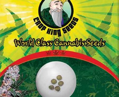 Blue Berry Regular Marijuana Seeds