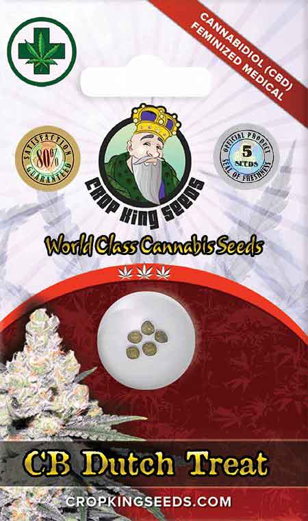CB Dutch Treat CBD/Medical Seeds