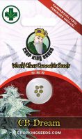 CD Dream Feminized CBD Medical Marijuana Seeds