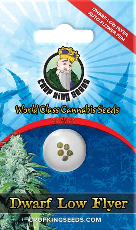 Dwarf Low Flyer Autoflower Seeds
