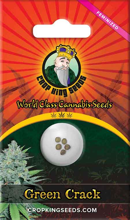 Green Crack Feminized Seeds