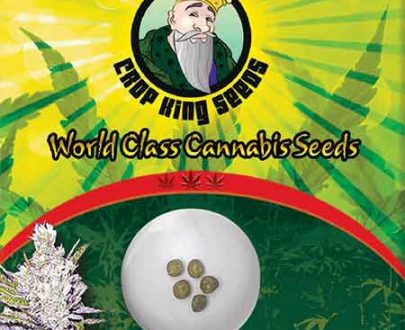 Haze Xtreme Feminized Marijuana Seeds