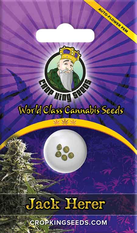 Jack Herer Autoflower Seeds