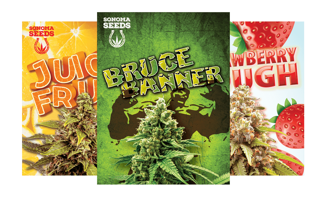sonoma seeds