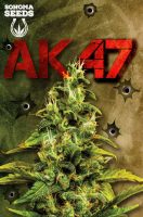 AK47 Feminized Marijuana Seeds