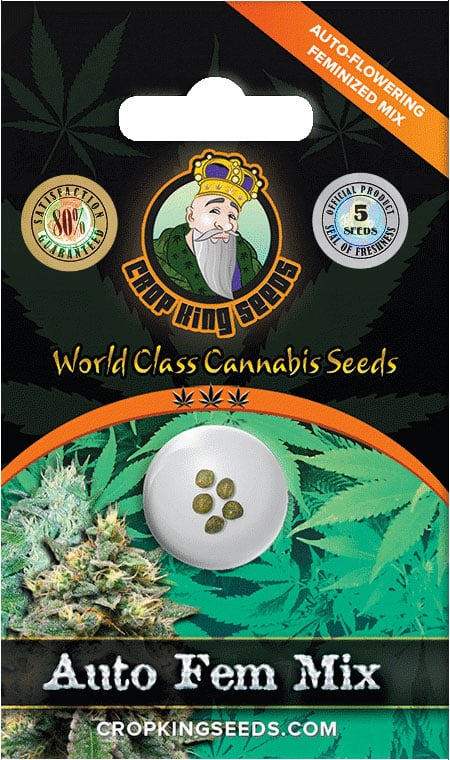 Autoflower – Feminized Mixed Seeds