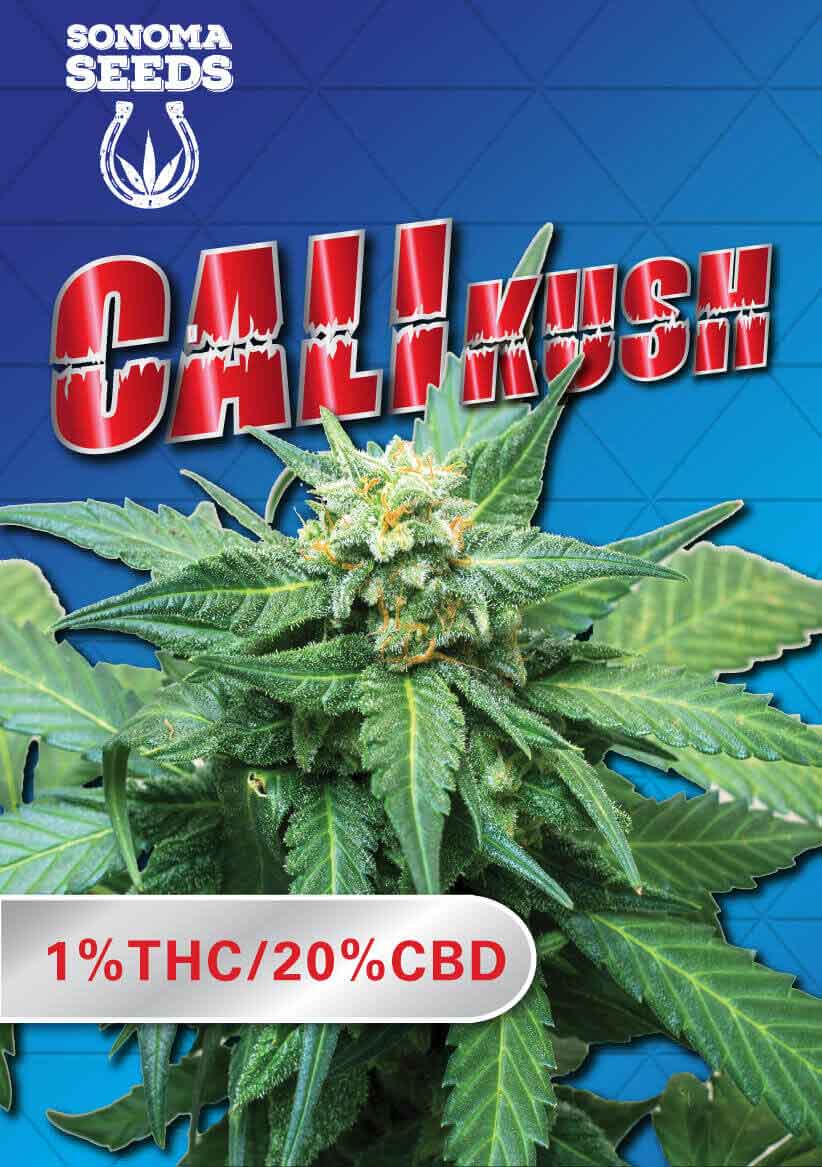 Cali Kush CBD Seeds