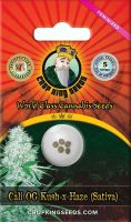 Cali OG Kush haze Feminized Marijuana Seeds