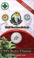 CBD Auto-Cheese Feminized Marijuana Seeds
