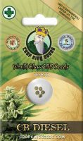 CB Diesel Feminized Marijuana Seeds