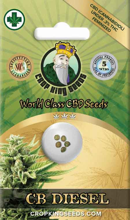 CB Diesel CBD Seeds