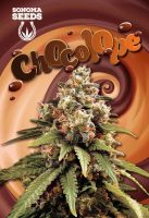 Chocolope Feminized Marijuana Seeds