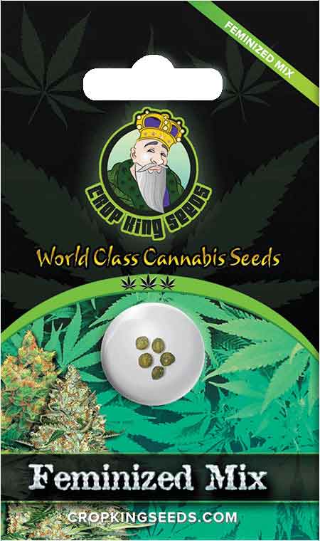 Feminized Mixed Seeds
