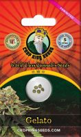 Gelato Feminized Marijuana Seeds