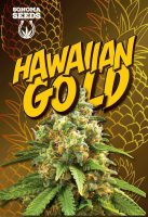 Hawaiian Gold Autoflowering Marijuana Seeds