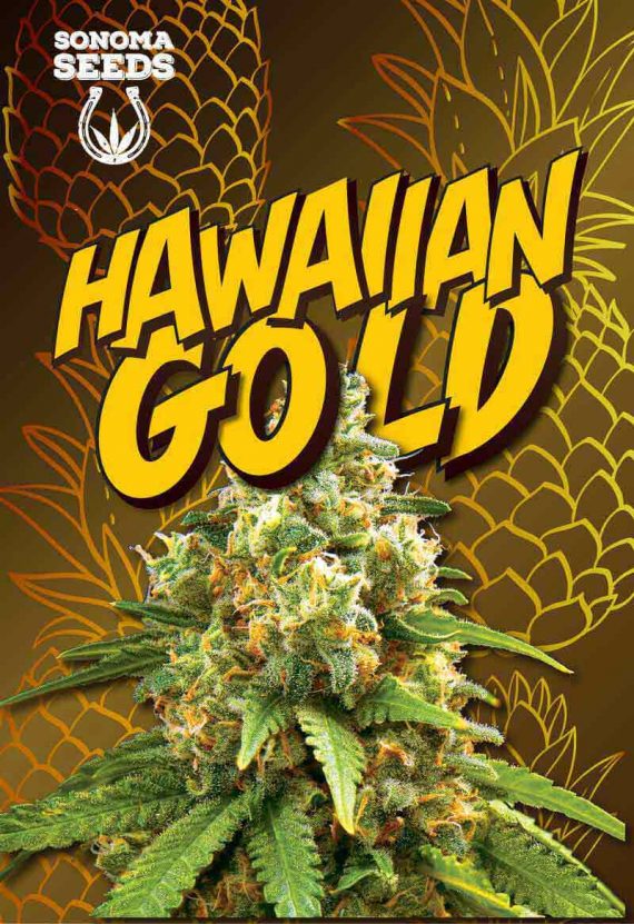 Hawaiian Gold Autoflowering Marijuana Seeds