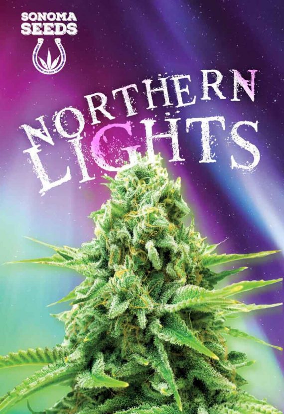 Northern Light Autoflowering Marijuana Seeds