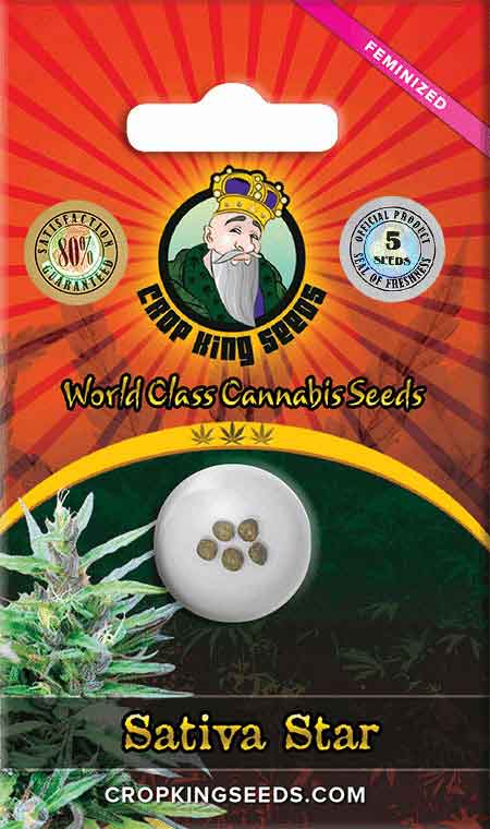 Sativa Star Feminized Seeds