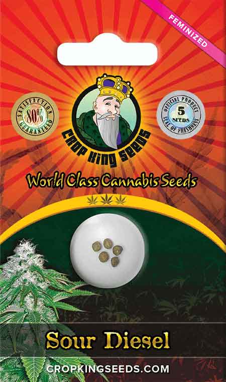 Sour Diesel Feminized Seed Opts
