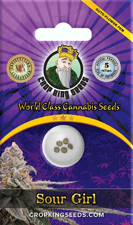 Sour Girl Autoflower Seeds