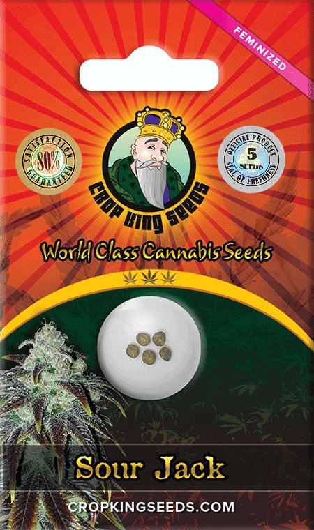 Sour Jack Feminized Seeds