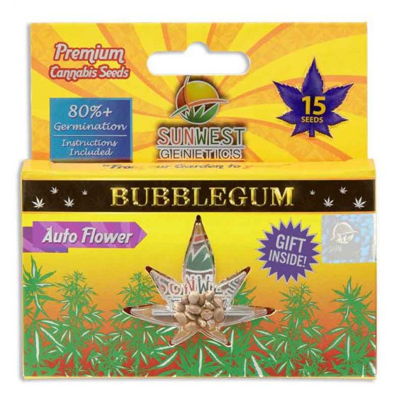 Bubble Gum Autoflowering Marijuana Seeds