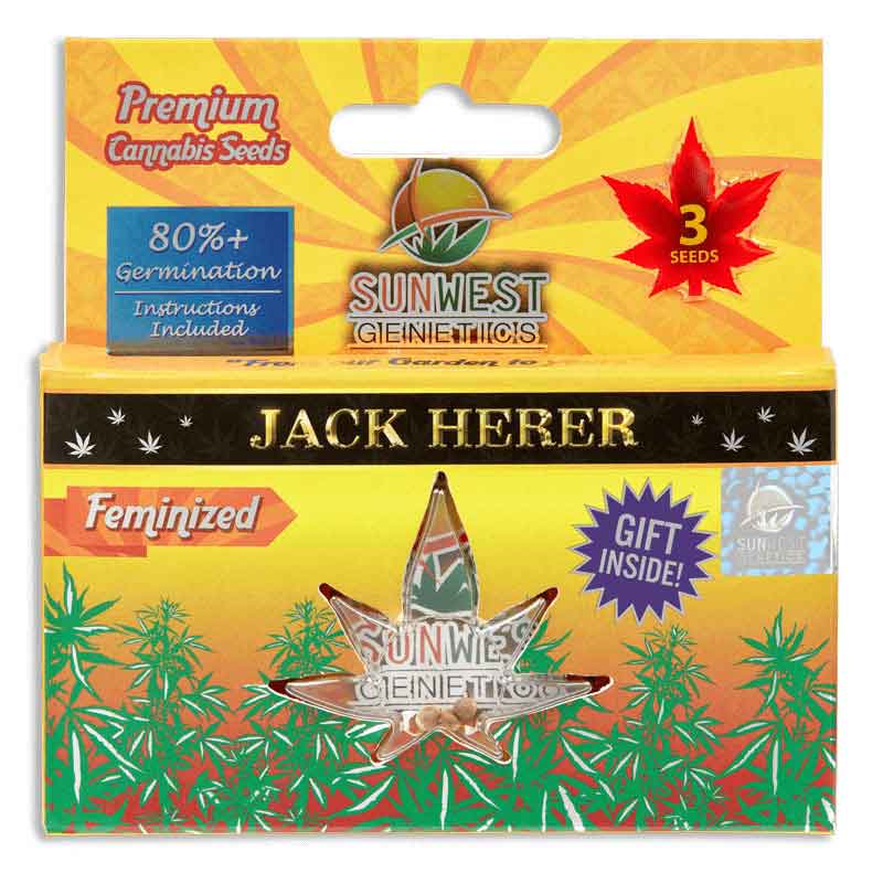 Jack Herer Feminized Seeds
