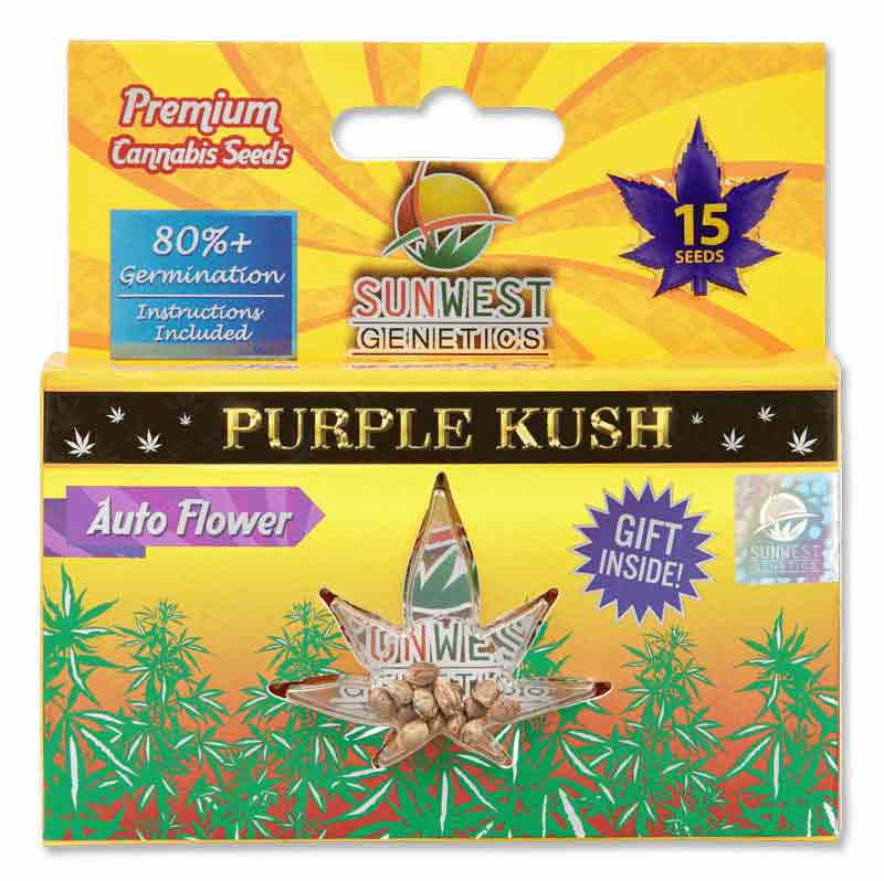 Purple Kush AutoFlower Seeds