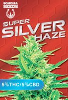 Super Silver Haze CBD Marijuana Seeds