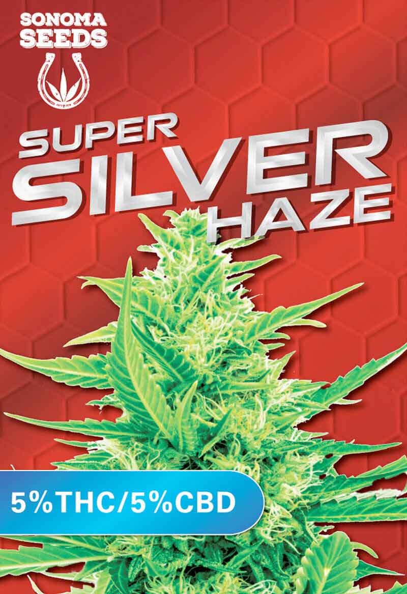 Super Silver Haze Seeds