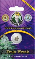 Train Wreck Autoflowering Marijuana Seeds