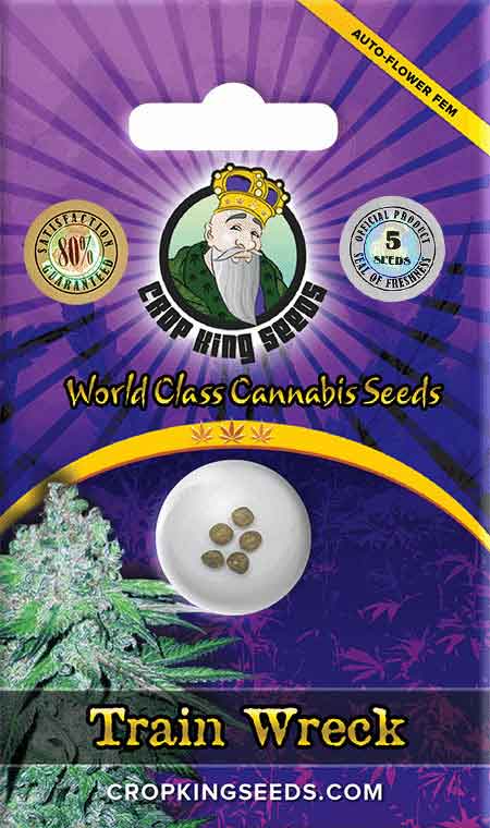 Train Wreck Autoflower Seeds