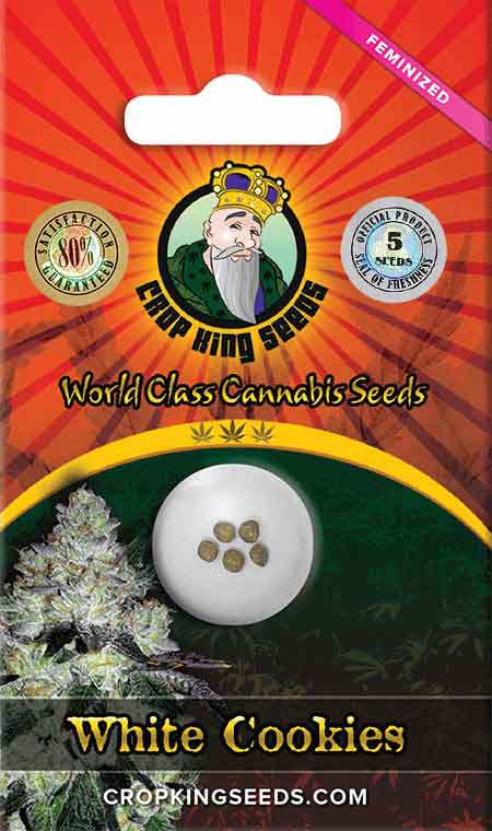 White Cookies Feminized Seeds