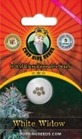 White Widow Feminized Marijuana Seeds