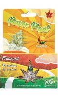 Power Plant Feminized Marijuana Seeds