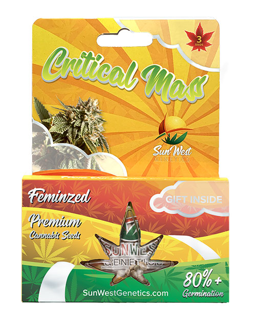 Critical Mass Feminized Seeds