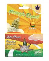 Pineapple Express Autoflowering Marijuana Seeds