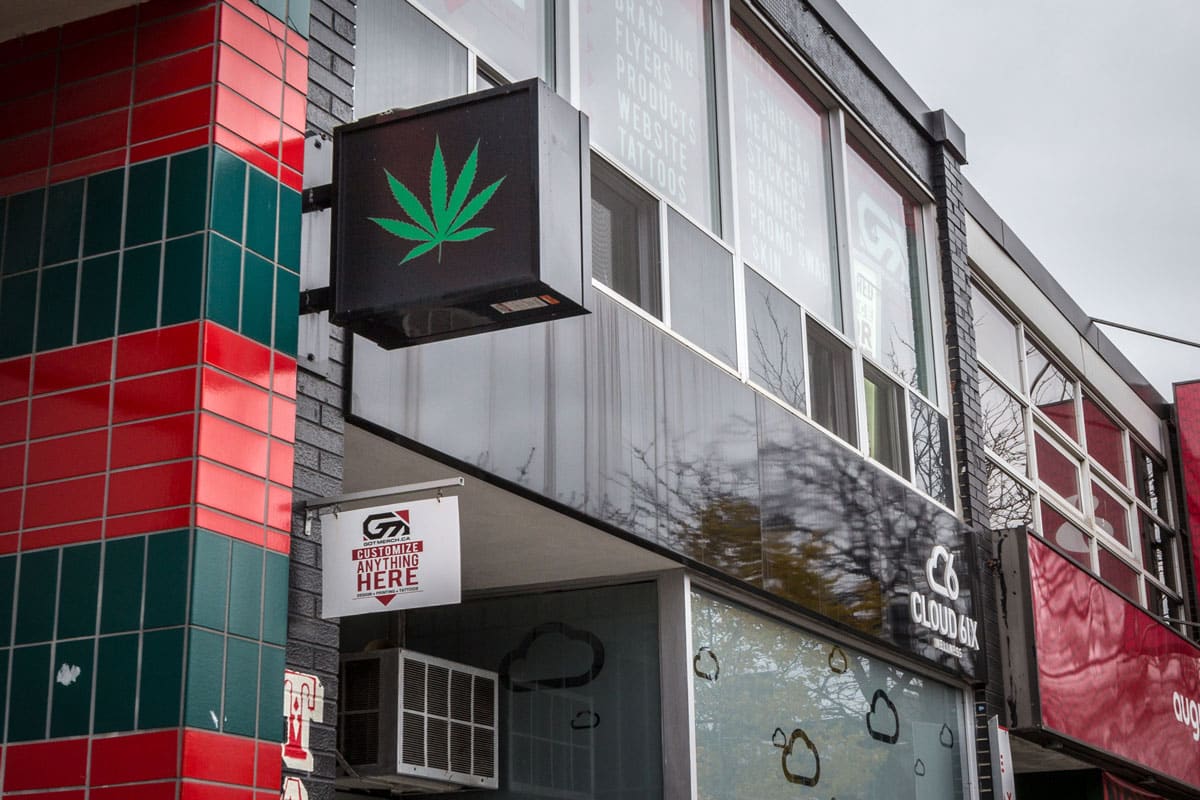 List of Business Where Marijuana Seeds Can Be Sold At