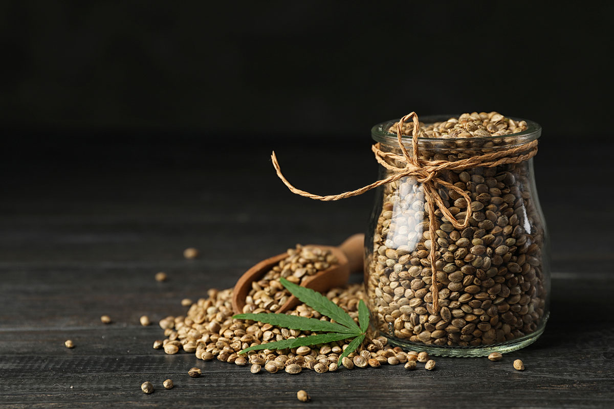 Top 4 Reasons Why You Should Buy Marijuana Seeds in Bulk