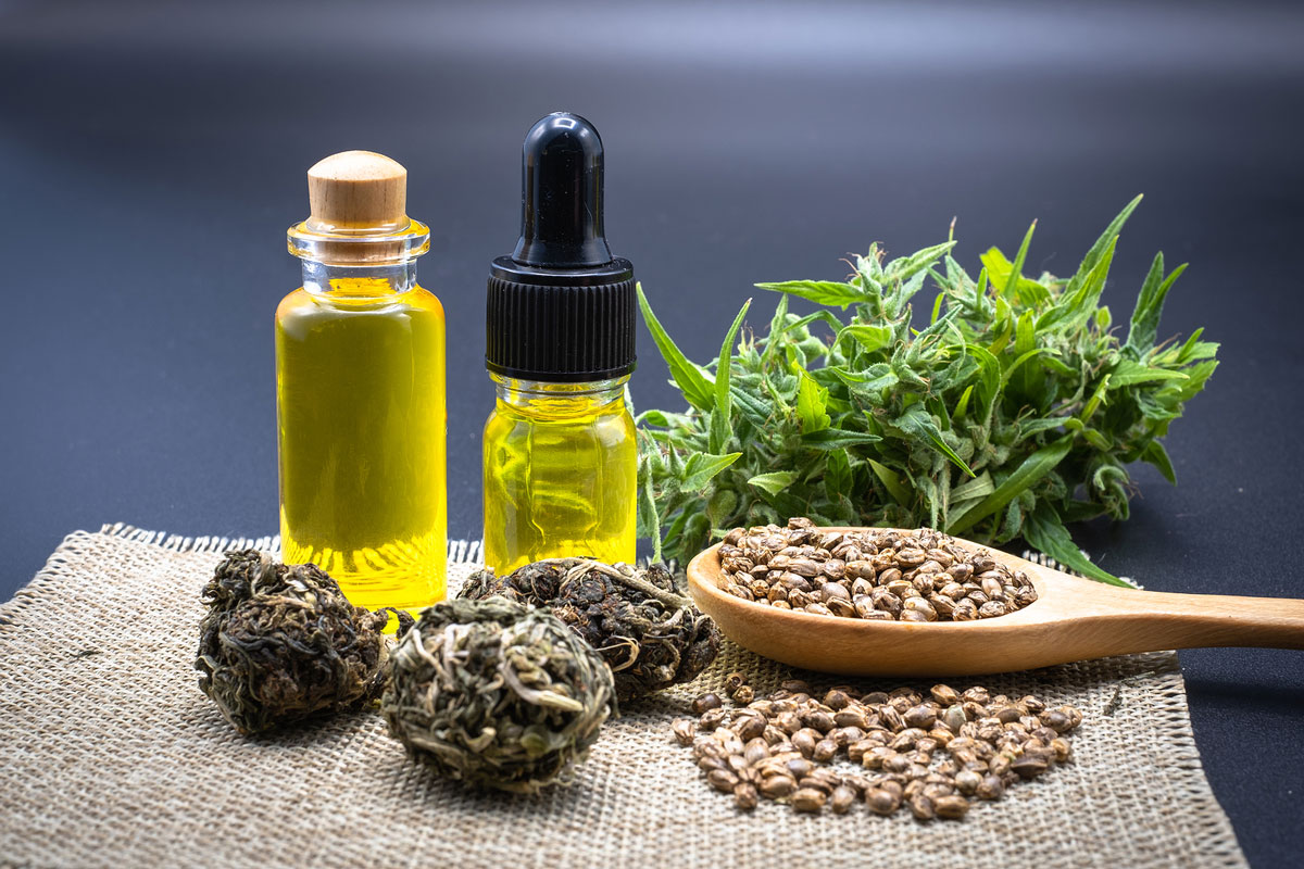 CBD Cannabis Seeds Promise to be the Next Big Bang in the Cannabis Industry