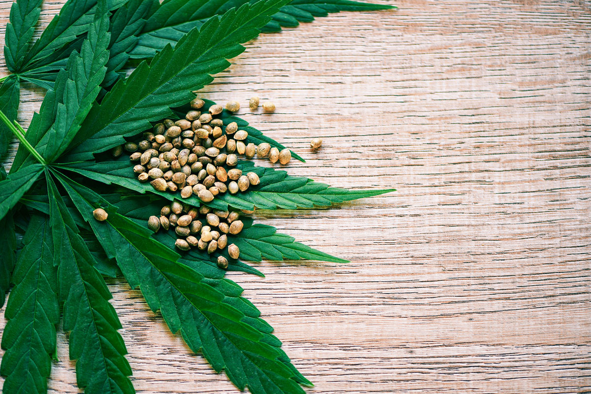 Top 7 Tips on How you can Convince Potential Customers to Buy Marijuana Seeds