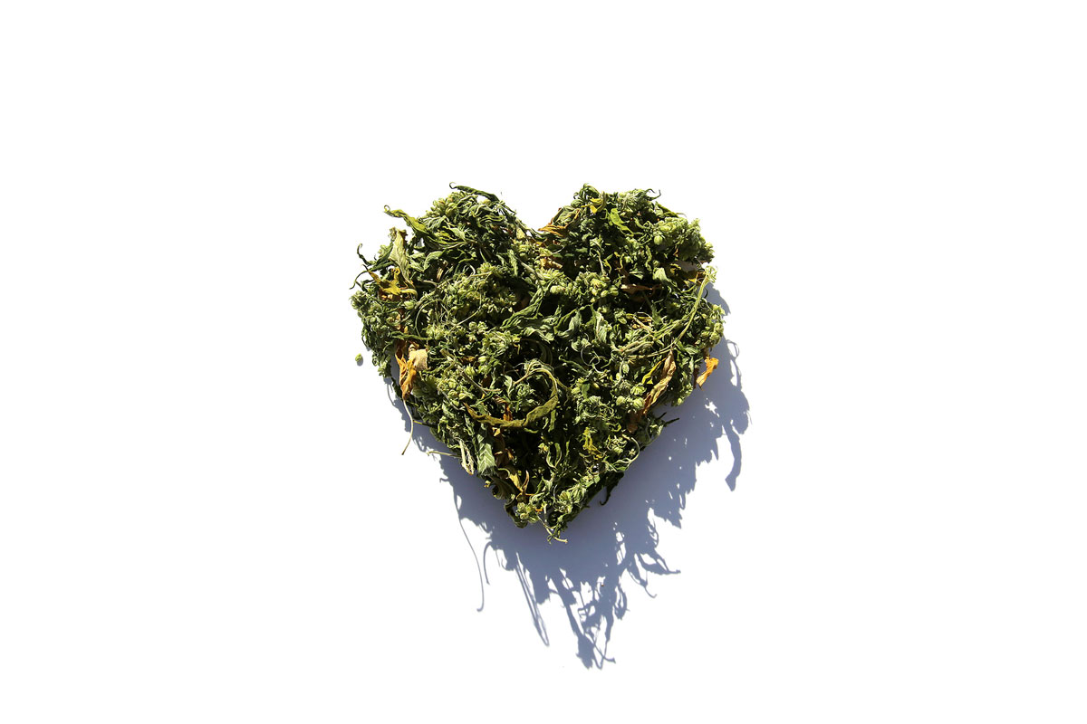 Cannabis Has More to Do with Enhancing Sexual Pleasure than What Experts Knew So Far: How Adult Store Owners Can Increase Cannabis Seeds Sales