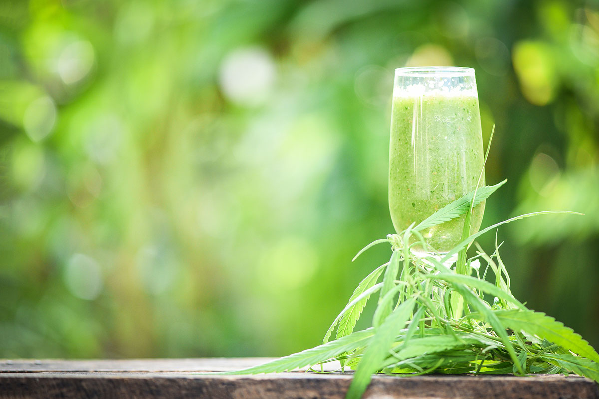 Juicing Raw Cannabis Hits the World as if by Storm