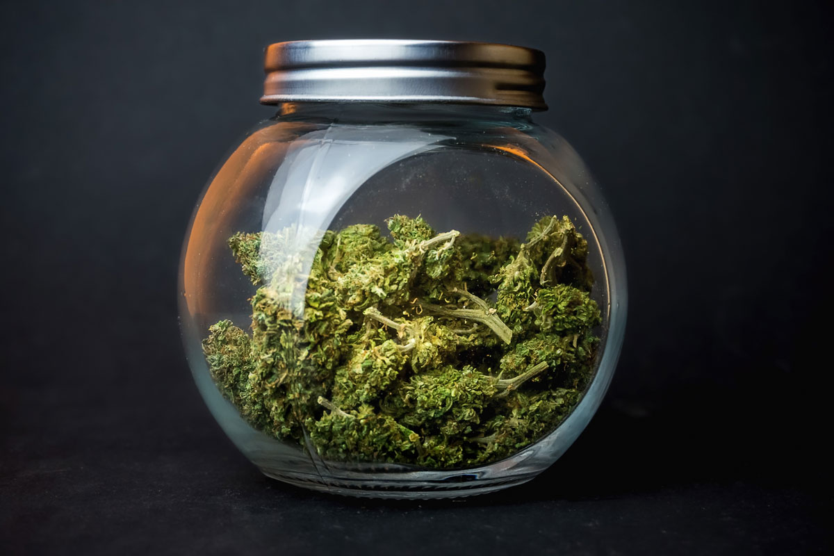 Cannabis Seeds for Sale in Adult Stores: Top Tips to Help Business Owners Benefit from the Massive-Scale Cannabis Market in Canada