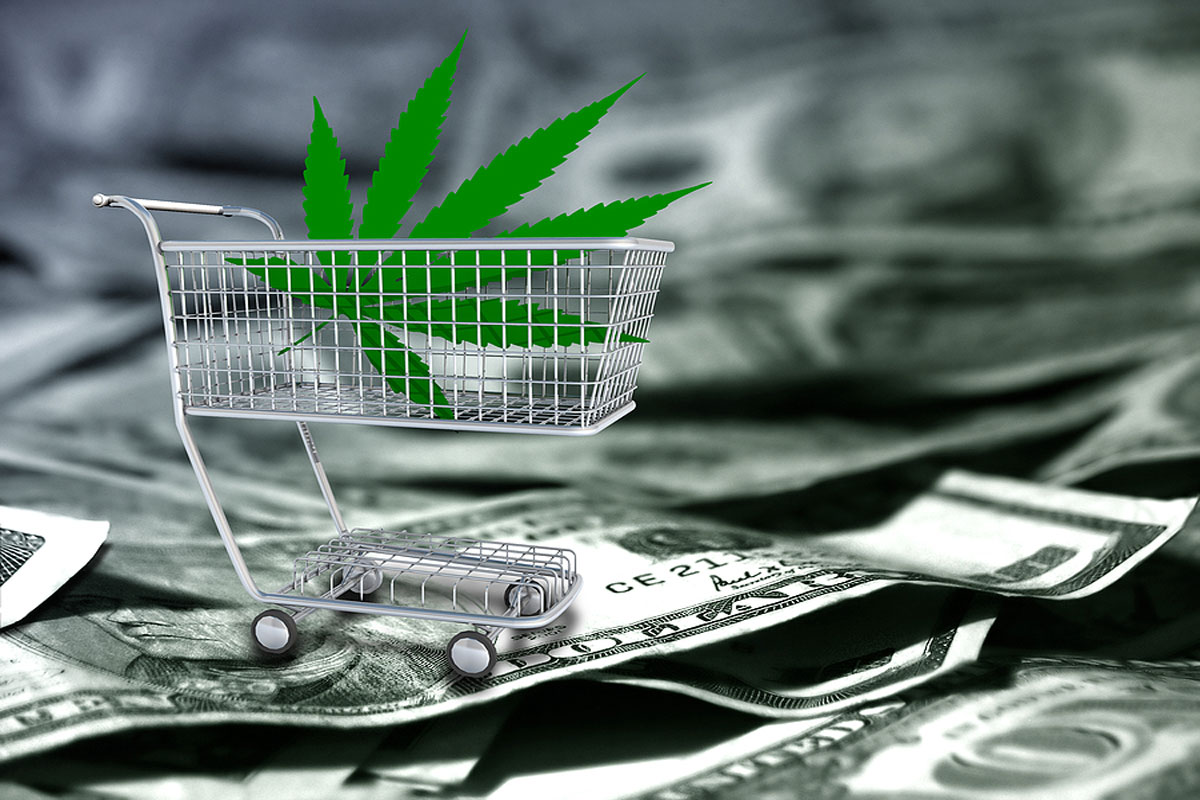 Top Tips to Help you Enjoy High Profits from the Cannabis Seeds Business Niche