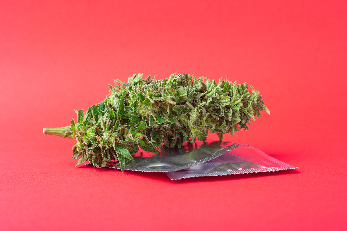 Selling Cannabis Seeds and Sex Toys: Merging Two Worlds that are Mutually Beneficent