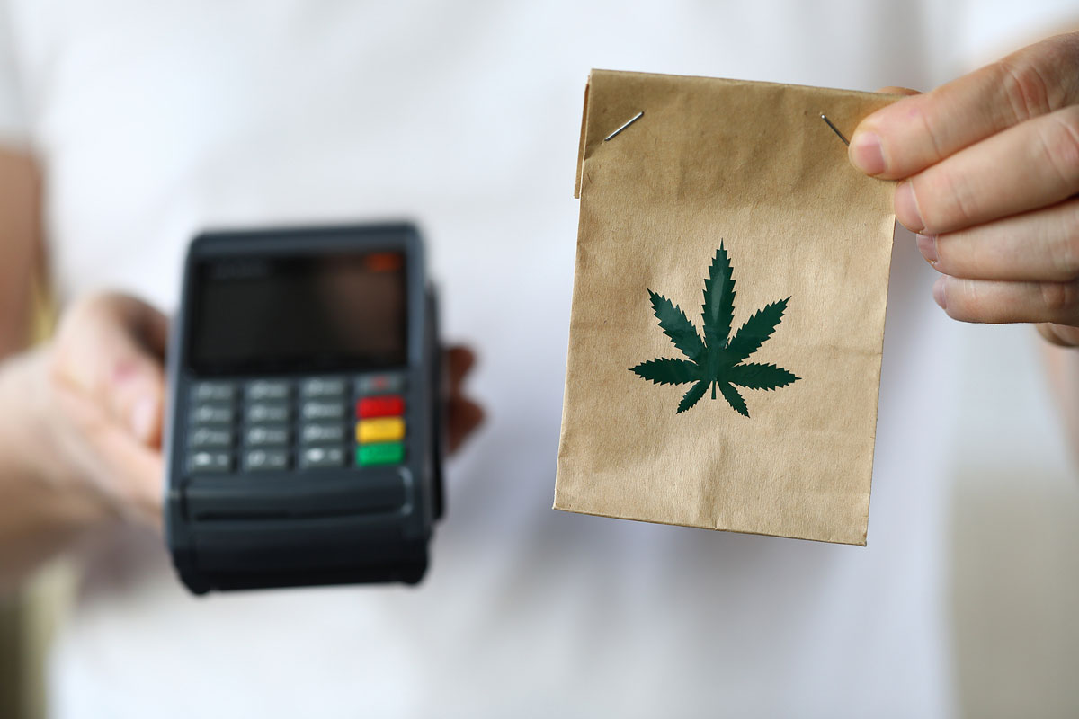 How Sex Shop Can Increase Profitability By Selling Cannabis Seeds